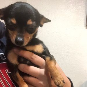 Meet your Posher, Daniel